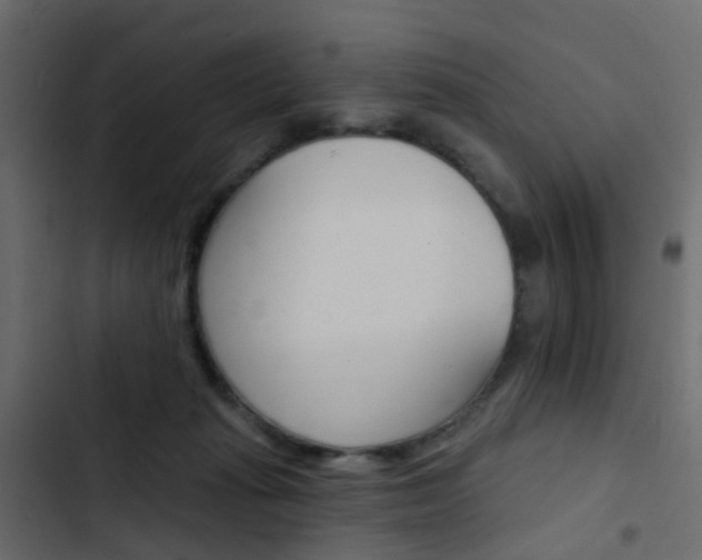 X0000103910269200809191126