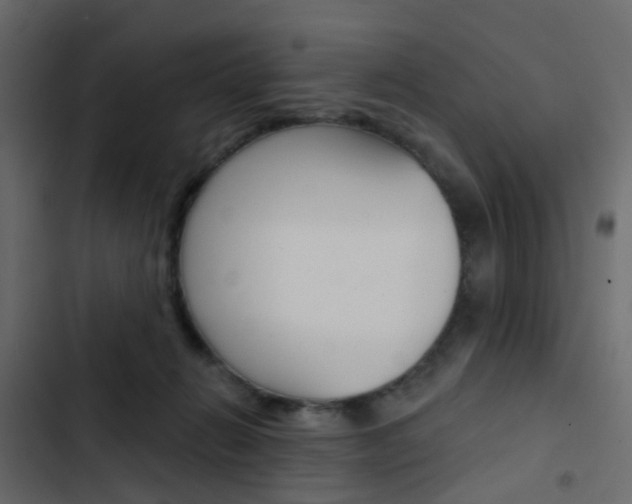 X0000103910270200809191126