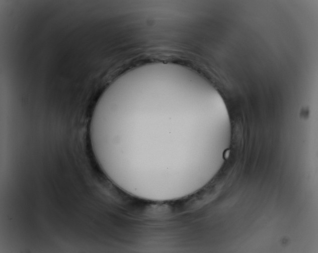 X0000103910271200809191126