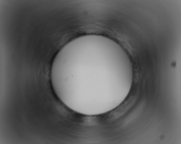 X0000103910273200809191126