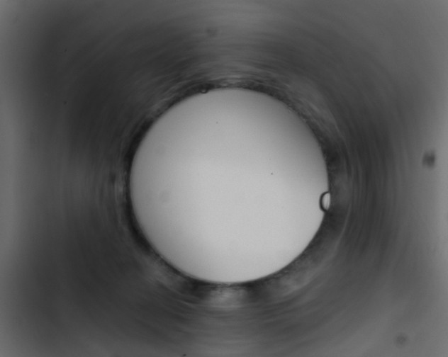 X0000103910274200809191126