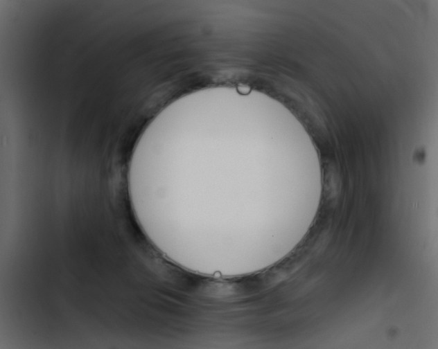 X0000103910276200809191126
