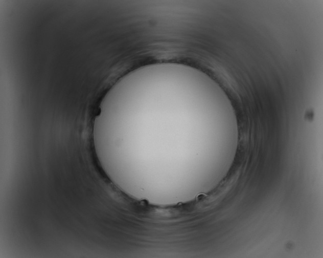 X0000103910277200809191126