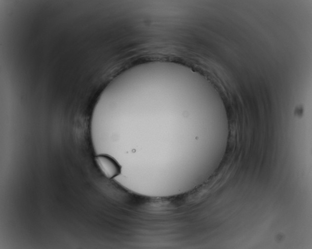 X0000103910278200809191126