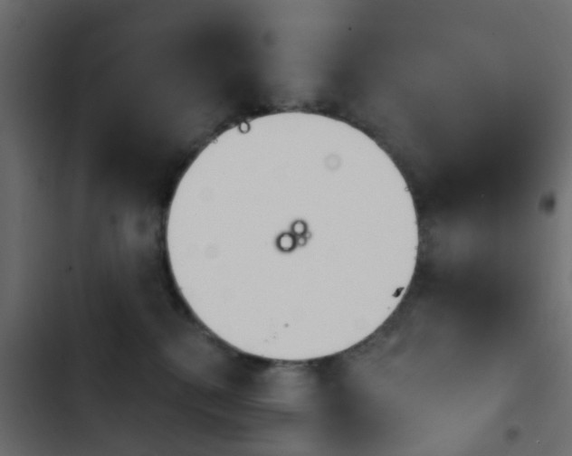 X0000103910280200809191126