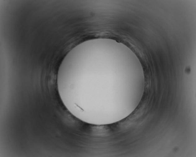 X0000103910281200809191126