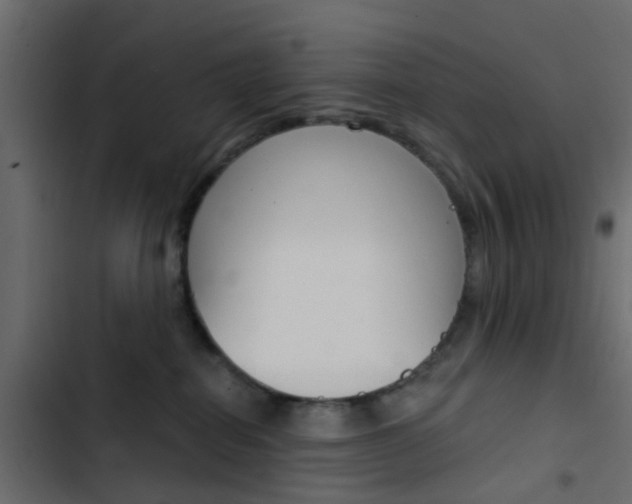 X0000103910282200809191126