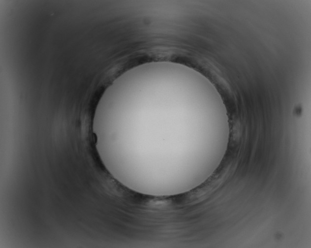 X0000103910283200809191126