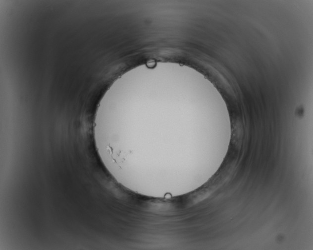 X0000103910284200809191126