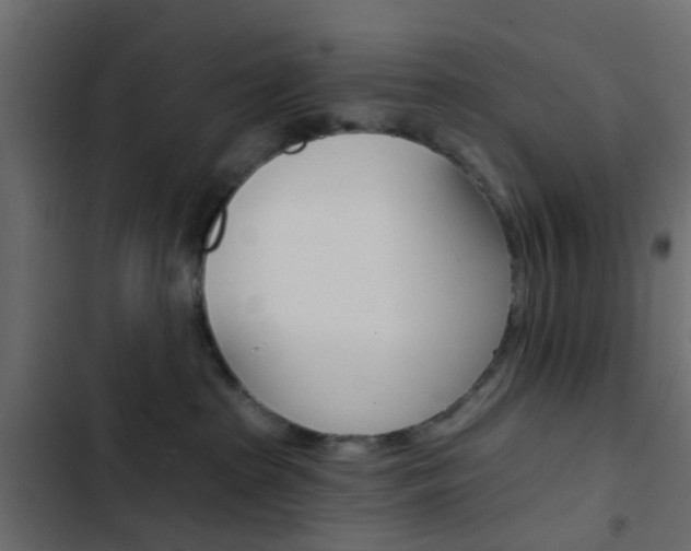 X0000103910285200809191126