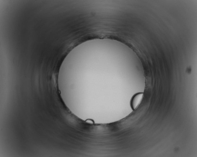 X0000103910286200809191126