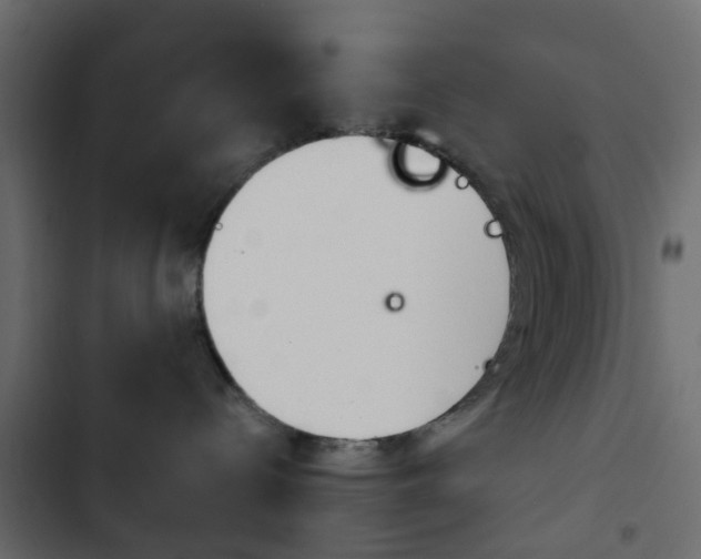 X0000103910288200809191126
