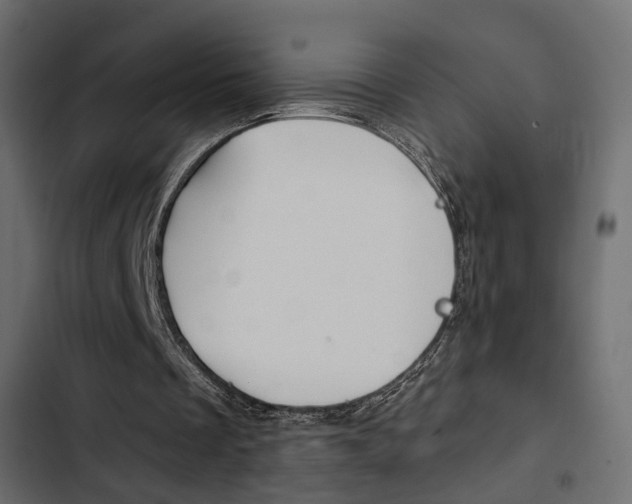 X0000103910289200809191126