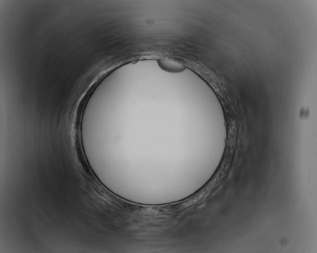 X0000103910290200809191126