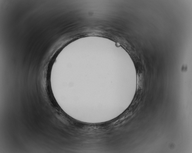 X0000103910291200809191126