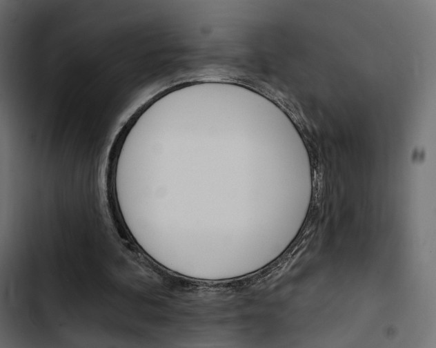 X0000103910292200809191126