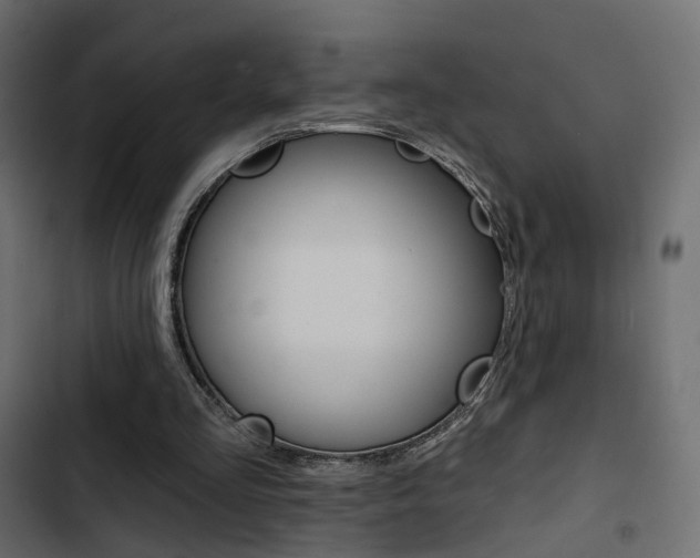 X0000103910293200809191126