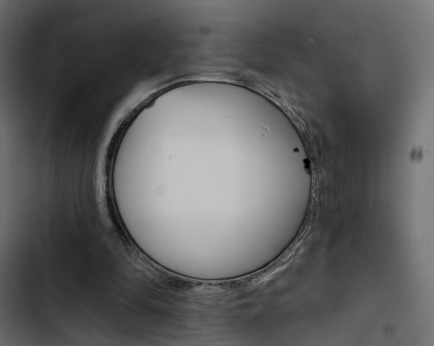 X0000103910294200809191126