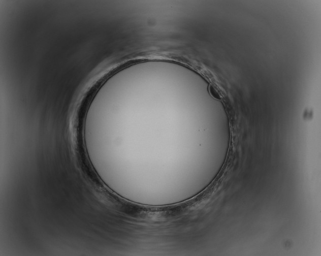 X0000103910295200809191126