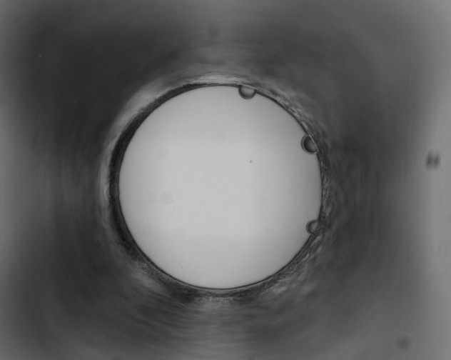X0000103910296200809191126
