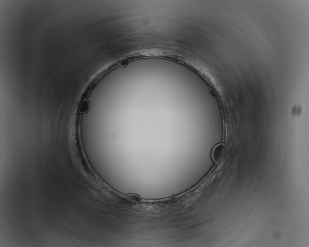X0000103910297200809191126