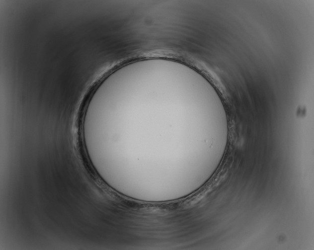 X0000103910298200809191126
