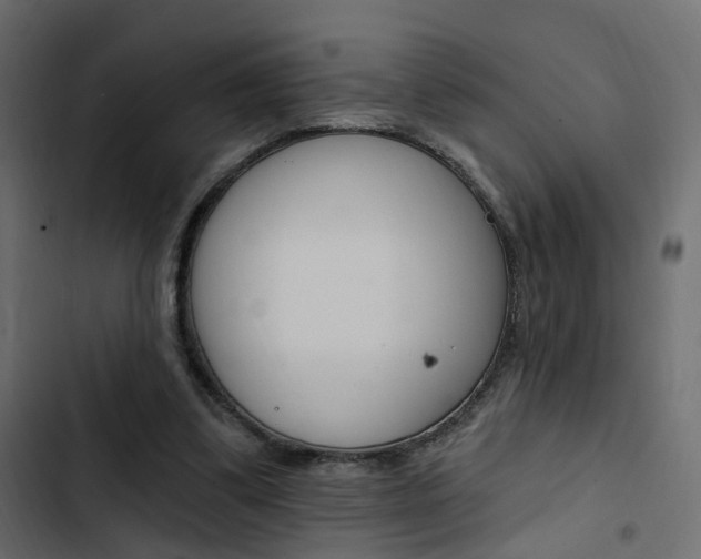 X0000103910299200809191126