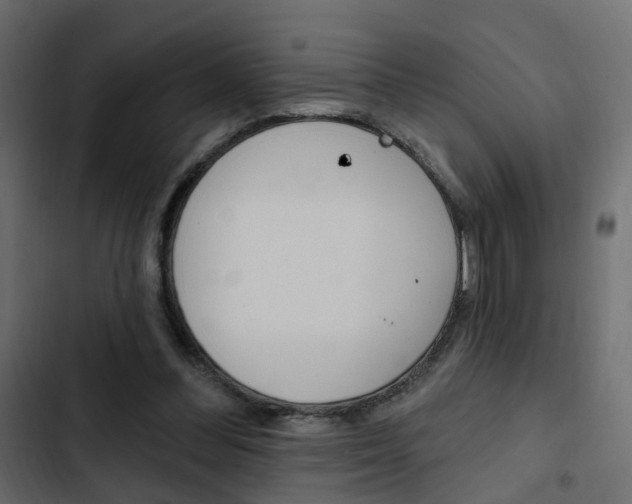 X0000103910300200809191126