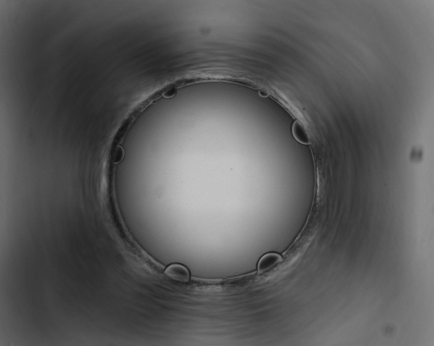 X0000103910301200809191126