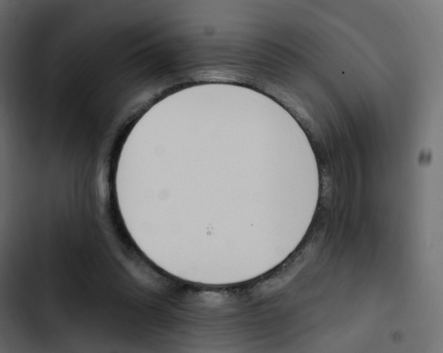 X0000103910302200809191126