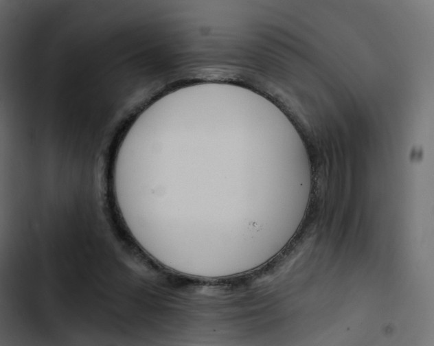 X0000103910303200809191126