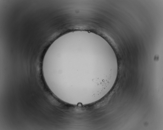 X0000103910305200809191126