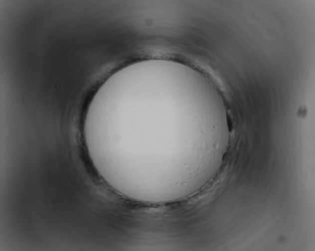 X0000103910306200809191126
