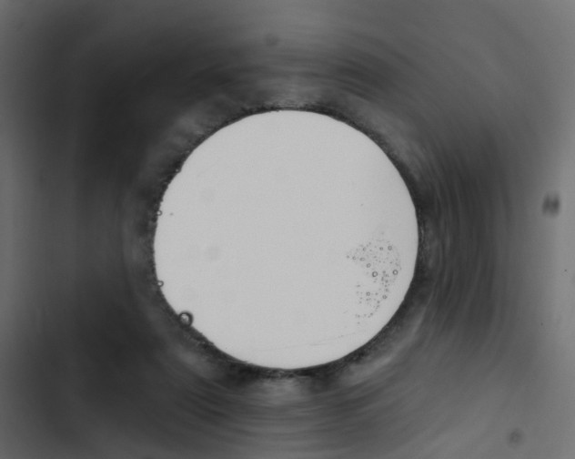 X0000103910307200809191126