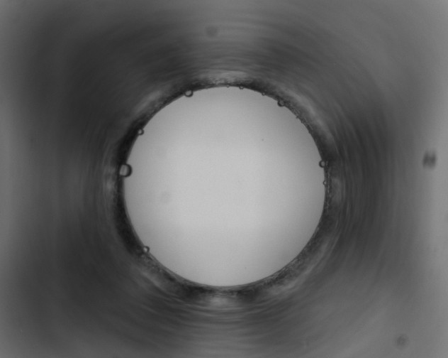 X0000103910308200809191125
