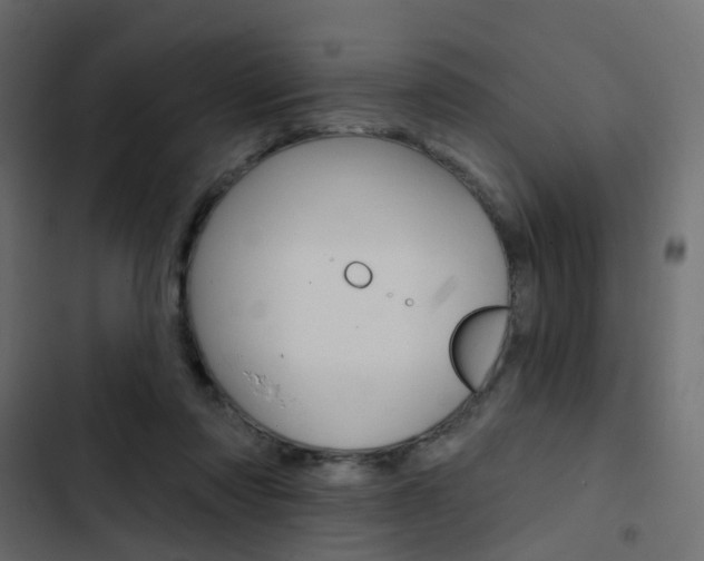 X0000103910310200809191125