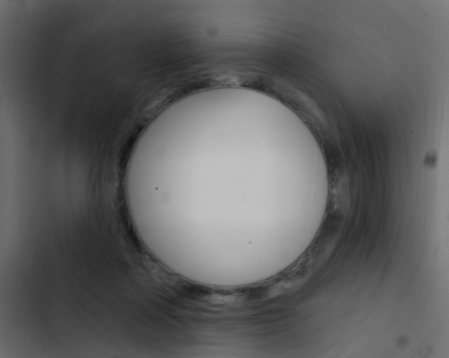 X0000103910314200809191125
