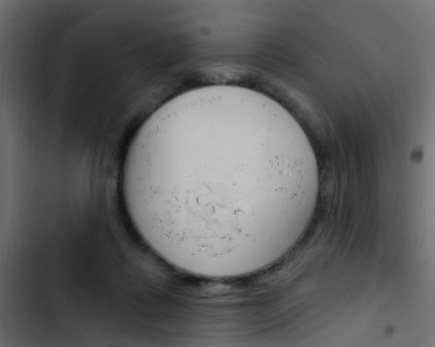X0000103910315200809191125