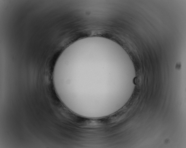 X0000103910316200809191125