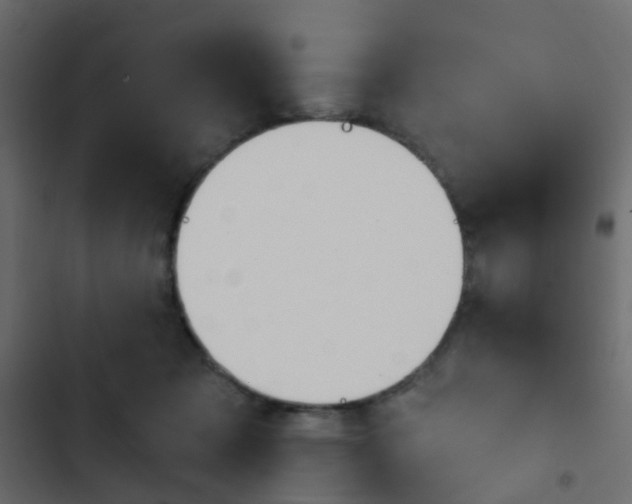 X0000103910317200809191125