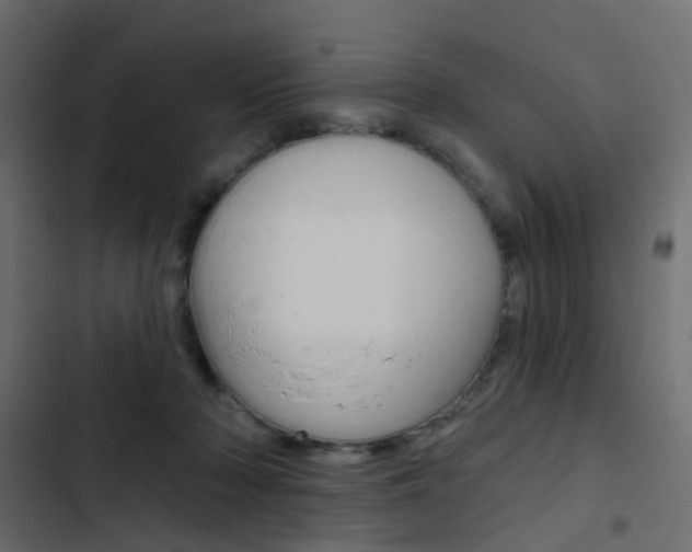 X0000103910318200809191125