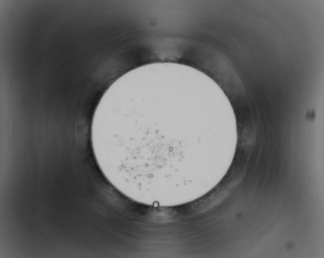 X0000103910321200809191125