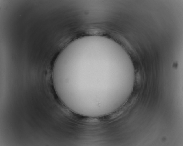 X0000103910322200809191125