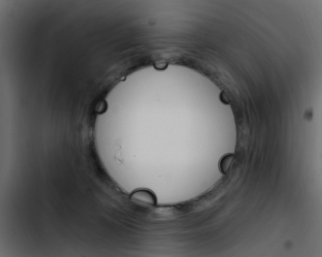 X0000103910324200809191125
