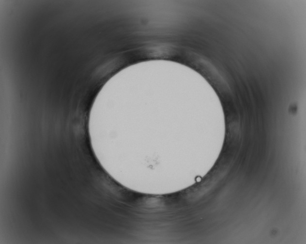 X0000103910325200809191125