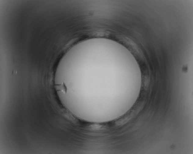 X0000103910326200809191125