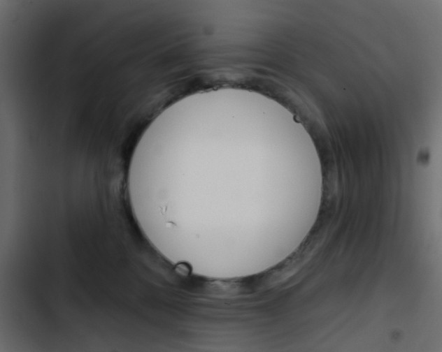 X0000103910328200809191125