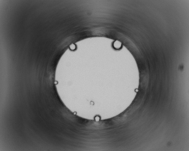X0000103910329200809191125