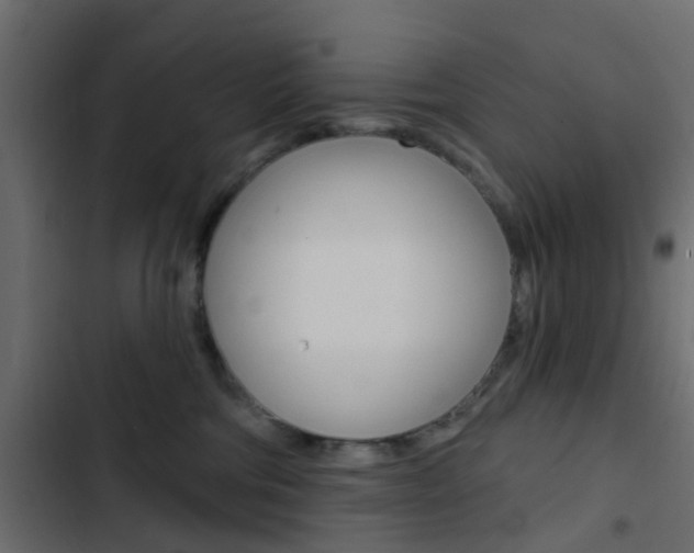 X0000103910330200809191125