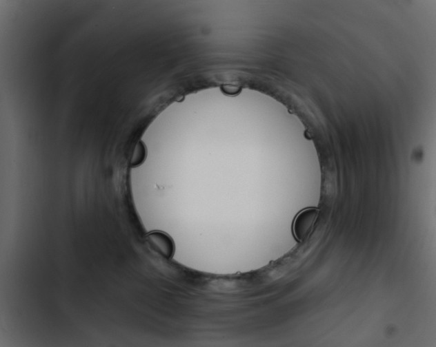 X0000103910332200809191125